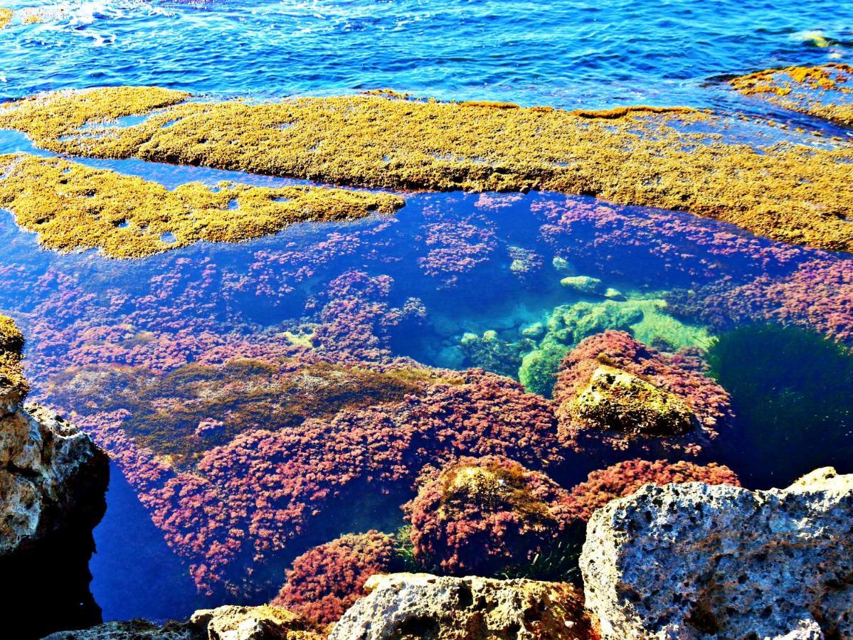Anemone Della Scala Dei Turchi Apartment Realmonte Bagian luar foto